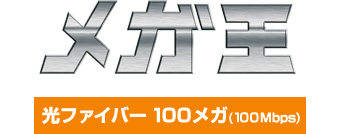 メガ王 光ファイバー100メガ(100Mbps)