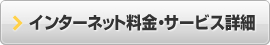 ���󥿡��ͥå����⡦�����ӥ��ܺ�