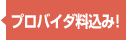 回線+プロバイダ料 全てコミコミ