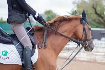 ウエスト・太ももに効果絶大な乗馬フィットネス