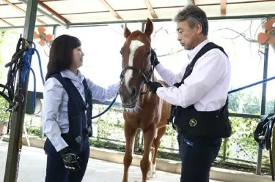 心身の健康促進として活用する「乗馬療法」