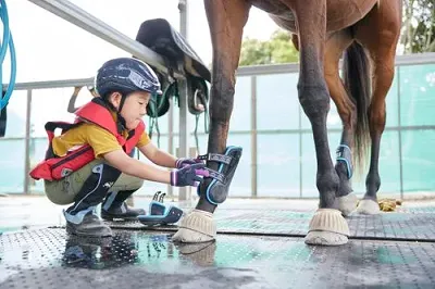 「笑顔が増えた」「積極的になった」子どもの心を育むジュニア乗馬