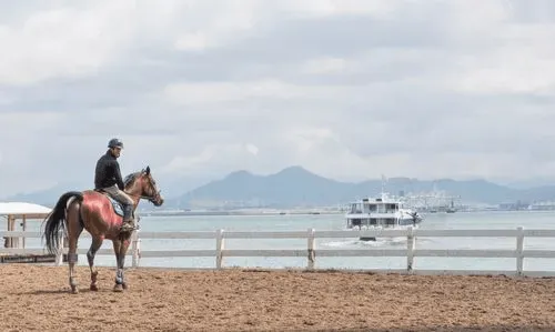 乗馬クラブ クレイン福岡