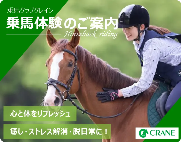 乗馬体験のご案内