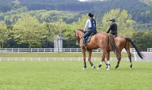 両備乗馬クラブ・クレイン岡山