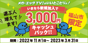 メガ・エッグTV！3,000円キャッシュバック！！