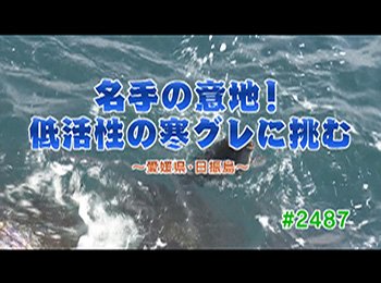 釣りごろ最新情報