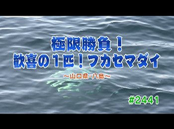 釣りごろ最新情報