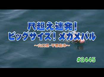 釣りごろ最新情報