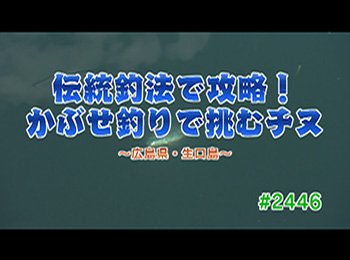 釣りごろ最新情報