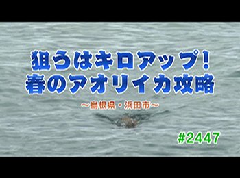 釣りごろ最新情報