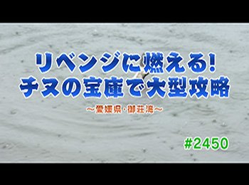 釣りごろ最新情報