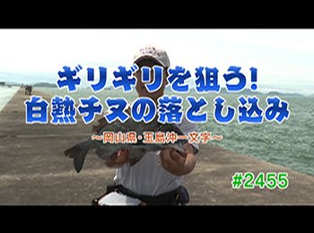 釣りごろ最新情報
