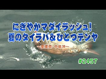 釣りごろ最新情報