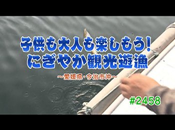 釣りごろ最新情報