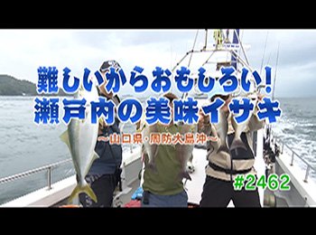 釣りごろ最新情報