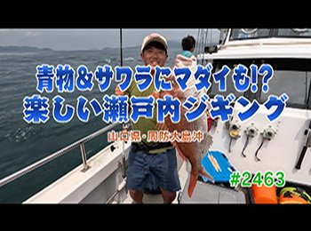 釣りごろ最新情報