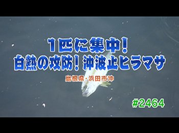 釣りごろ最新情報