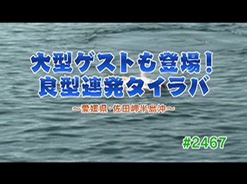 釣りごろ最新情報