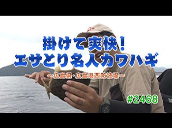 釣りごろ最新情報