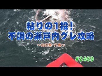 釣りごろ最新情報