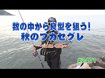 釣りごろ最新情報