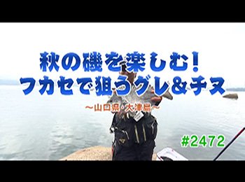 釣りごろ最新情報