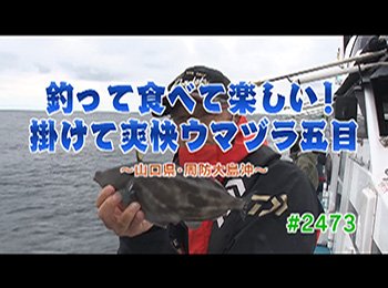 釣りごろ最新情報