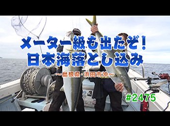 釣りごろ最新情報