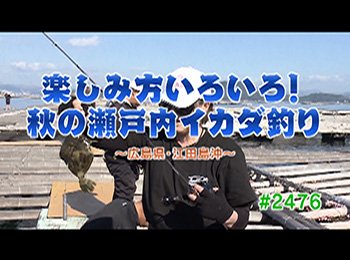 釣りごろ最新情報