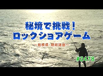 釣りごろ最新情報