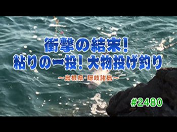 釣りごろ最新情報