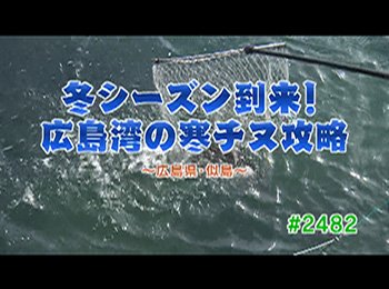 釣りごろ最新情報