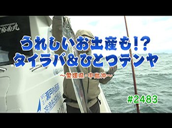 釣りごろ最新情報