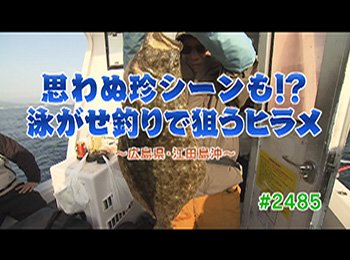 釣りごろ最新情報