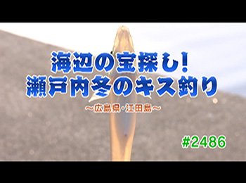 釣りごろ最新情報