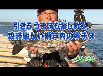 釣りごろ最新情報