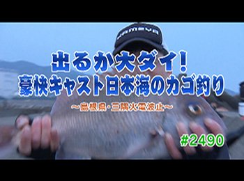 釣りごろ最新情報