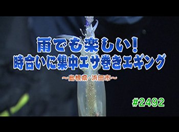 釣りごろ最新情報