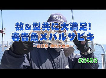 釣りごろ最新情報