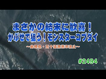 釣りごろ最新情報