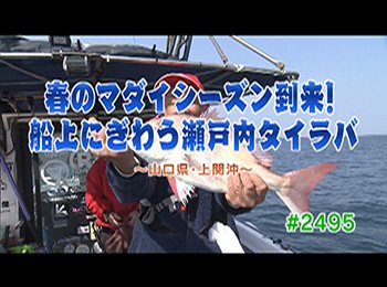 釣りごろ最新情報
