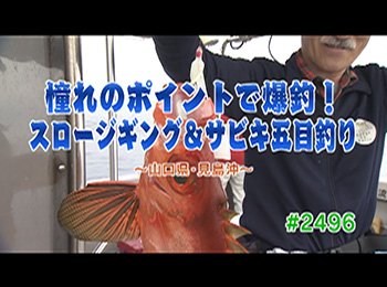 釣りごろ最新情報