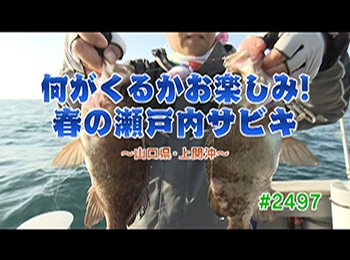 釣りごろ最新情報