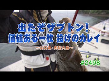 釣りごろ最新情報