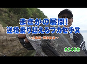 釣りごろ最新情報