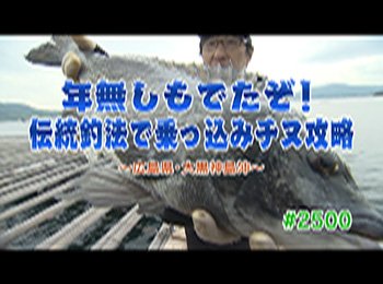 釣りごろ最新情報