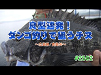 釣りごろ最新情報