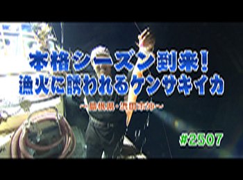 釣りごろ最新情報