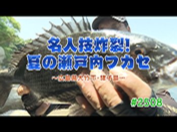 釣りごろ最新情報
